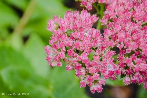 Certainly the Zoo had some